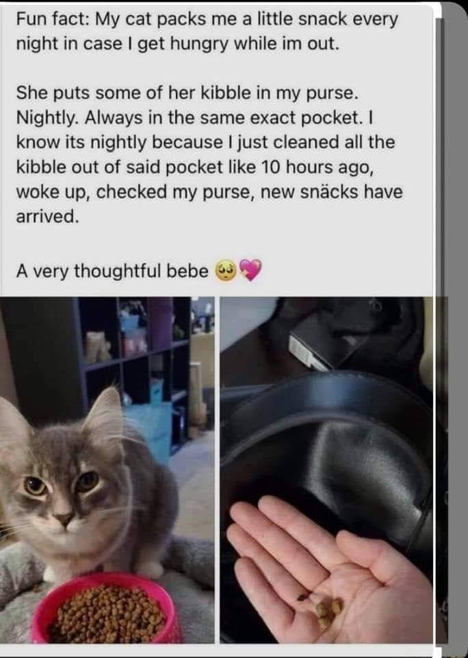 WholesomeMeme's tweet photo. https://t.co/SrOAHMXBal