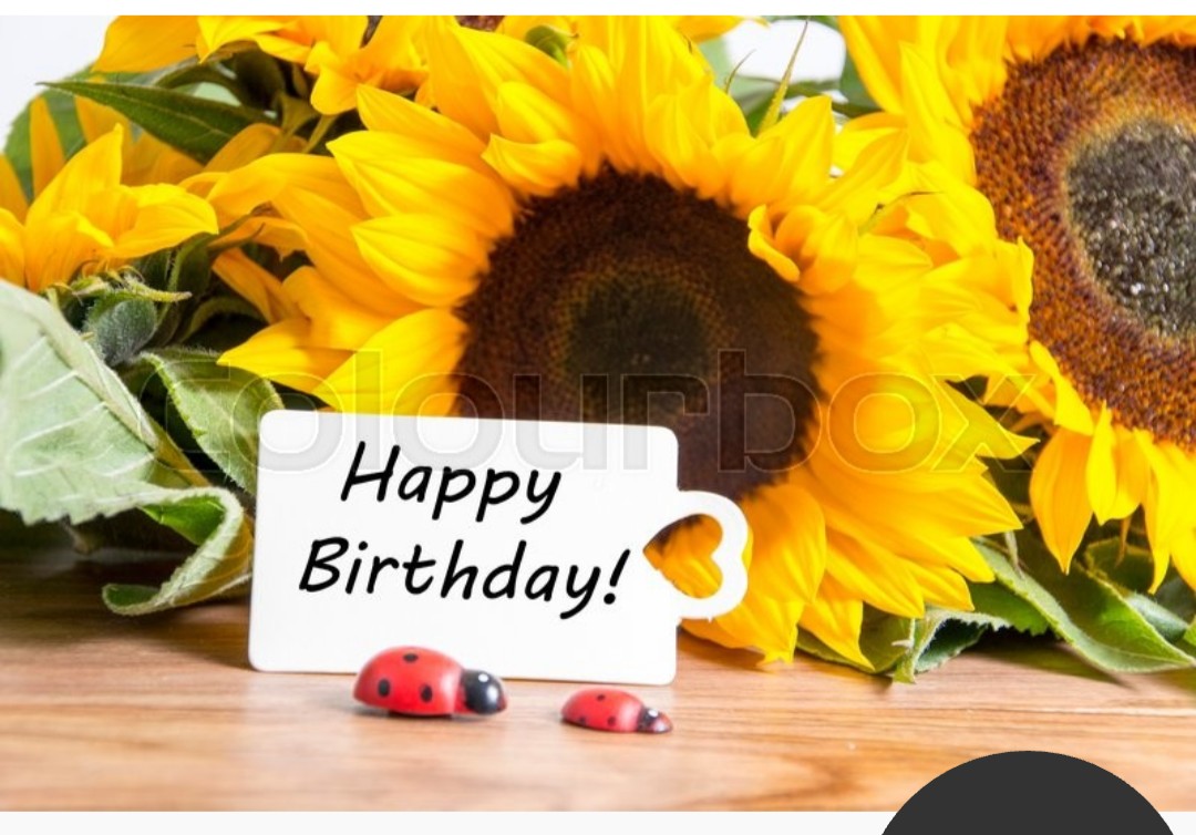 Happy Birthday jorja fox 