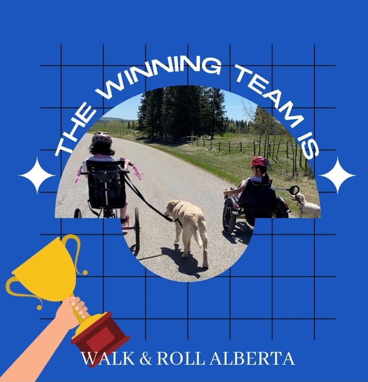 The kms are tallied &amp; the WINNING team is...TEAM SOUTH! We are so impressed by all the dedication from teams across the province who embraced our wacky themes &amp; hit the trails in support of youth with disabilities. You are all champions! 
N: 8521 km vs. S: 12230 km
#walkandrollab