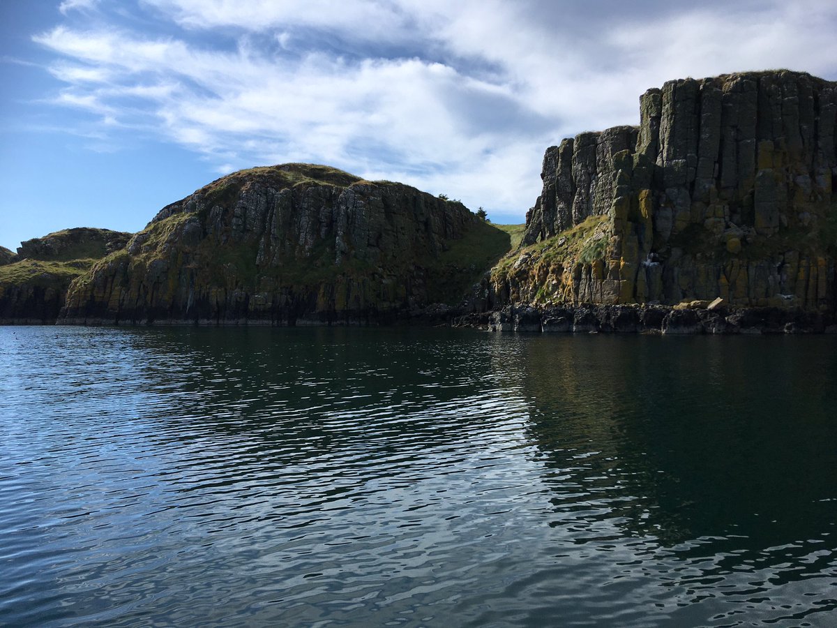 Dr. Betts tweet media