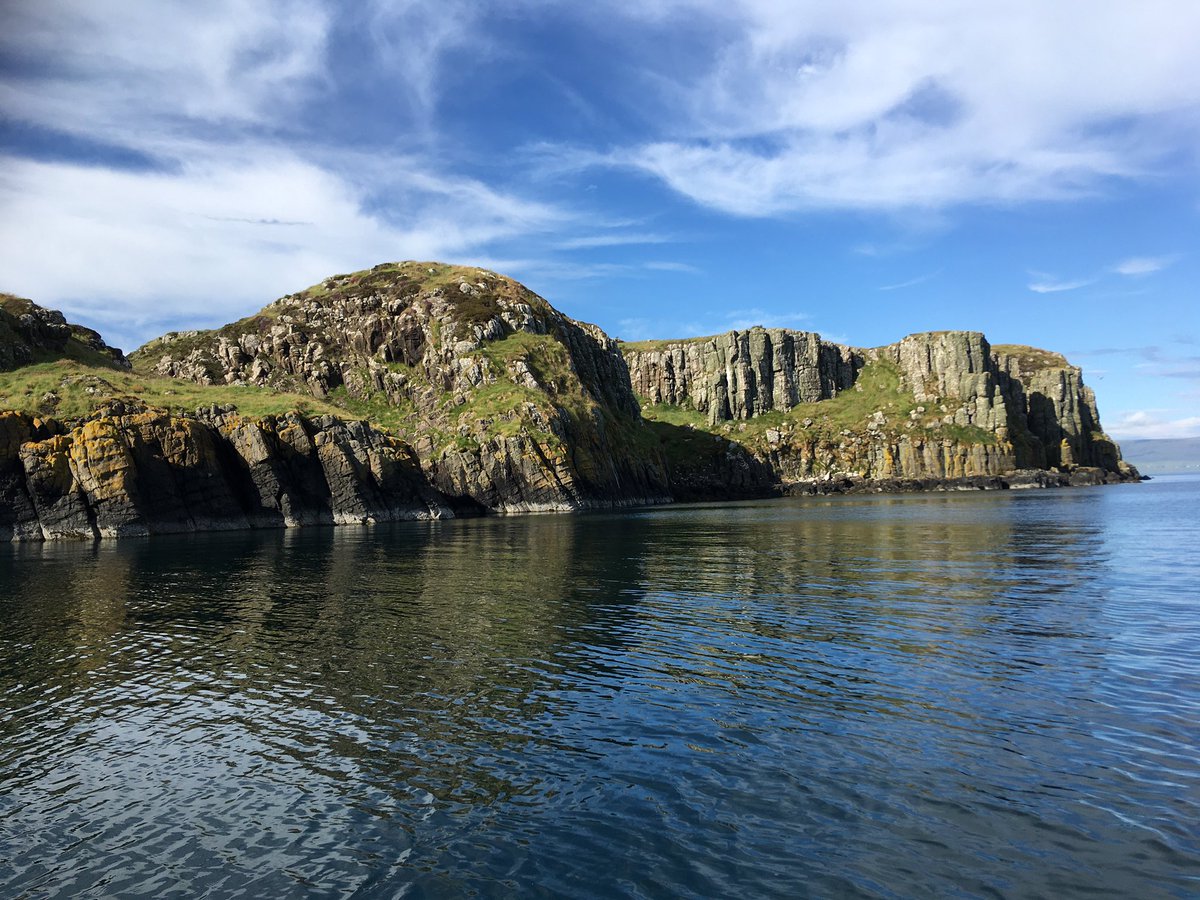 Dr. Betts tweet media