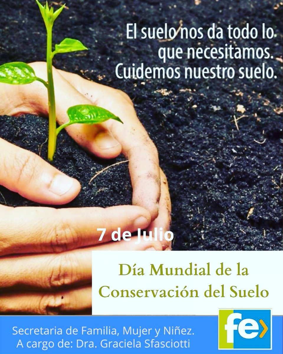 Graciela Sfasciotti (@grasfasciotti) on Twitter photo 