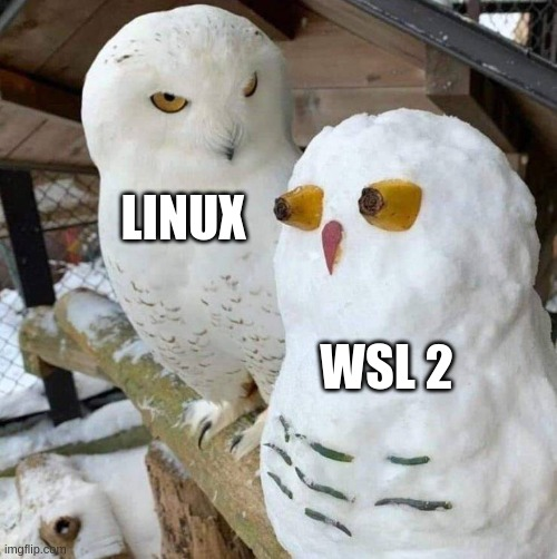 If you squint enough they almost look the same....