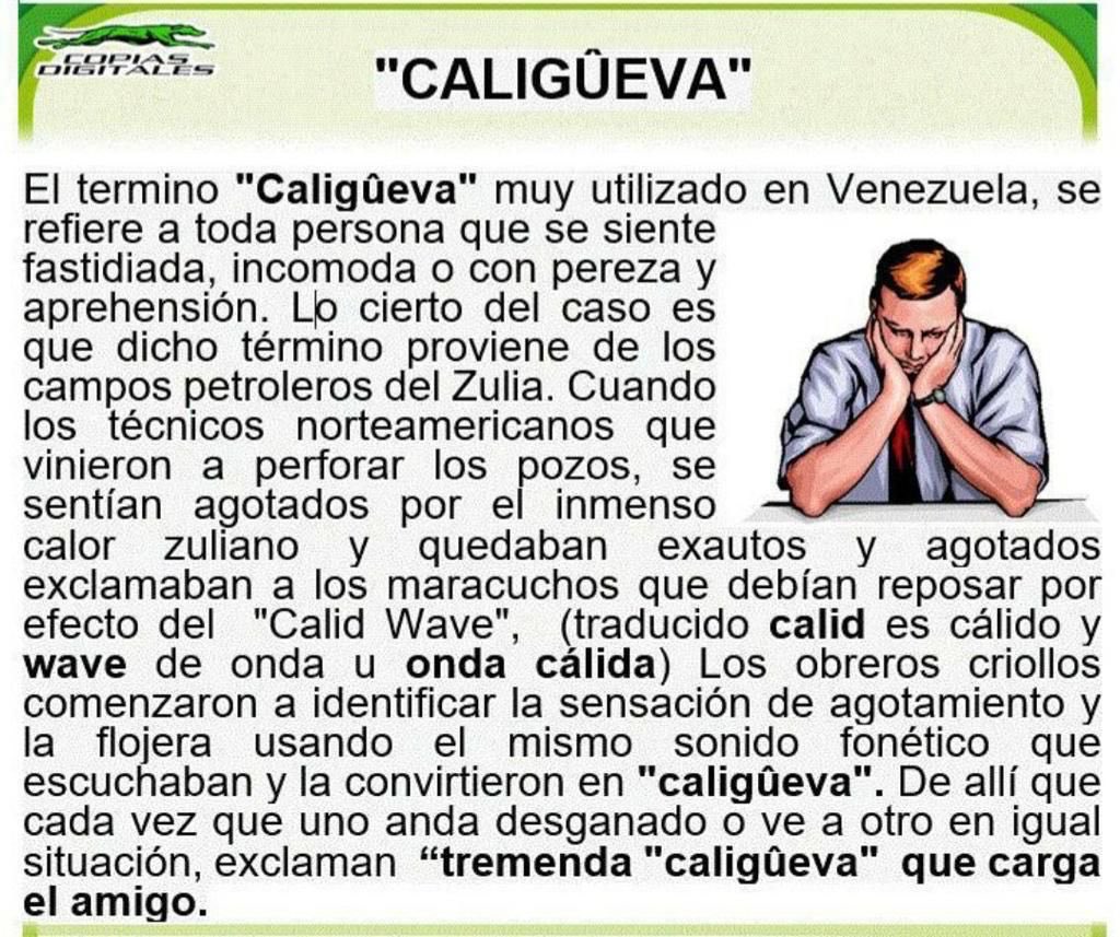 Napoleón Bravo tweet media