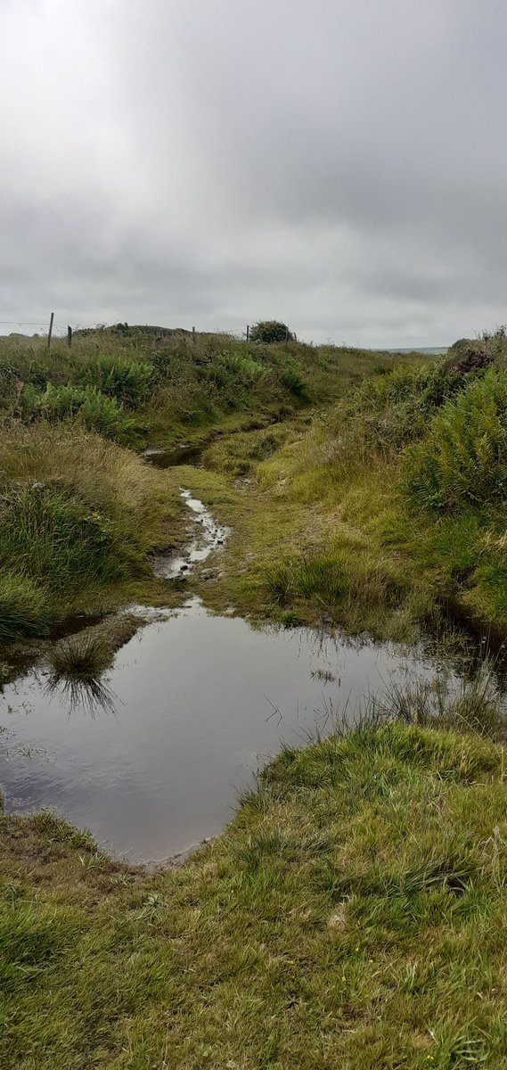 Who left the tap on? I thought it was ment to be summer. Some of the trails were like rivers today coming off the moors #lovecornwall #lovemtb