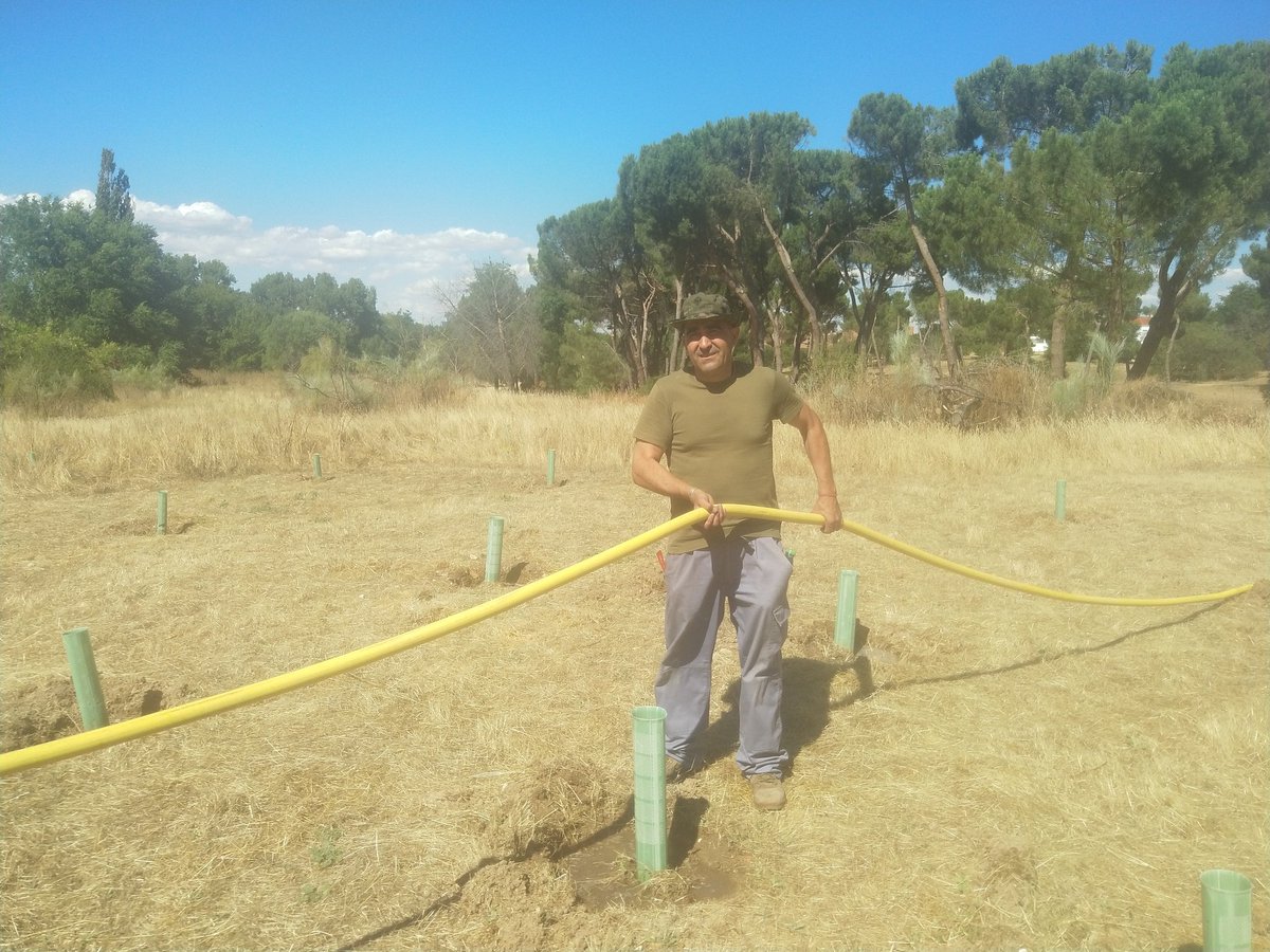 ENTORNOMEAQUES's tweet photo. Hoy tarde de riego con cuba de 14.000 litros de agua que hemos podido pagar gracias a la ayuda de @signusecovalor https://t.co/HsP0CtrFj0