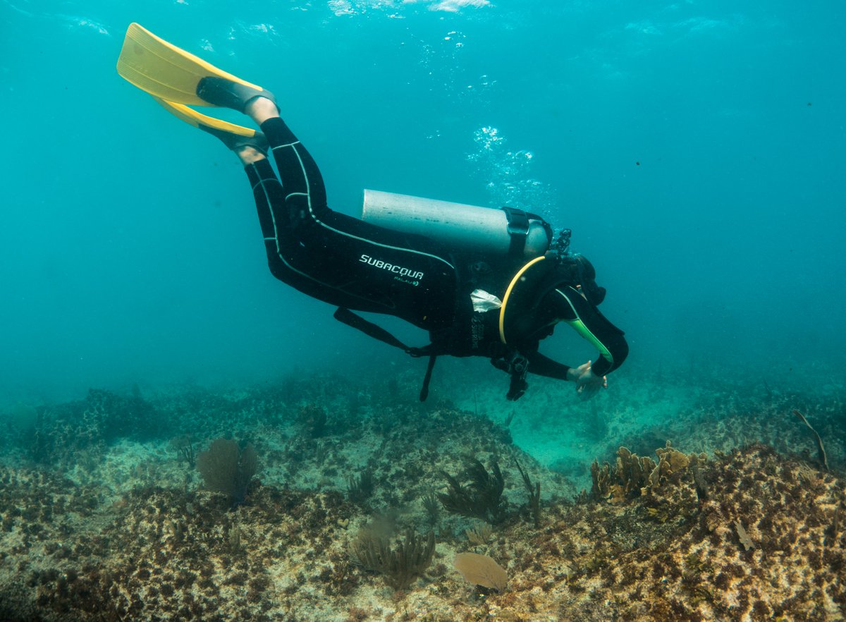 El #buceo es solo un momento, vívelo y disfrútalo en #UniverseDiving