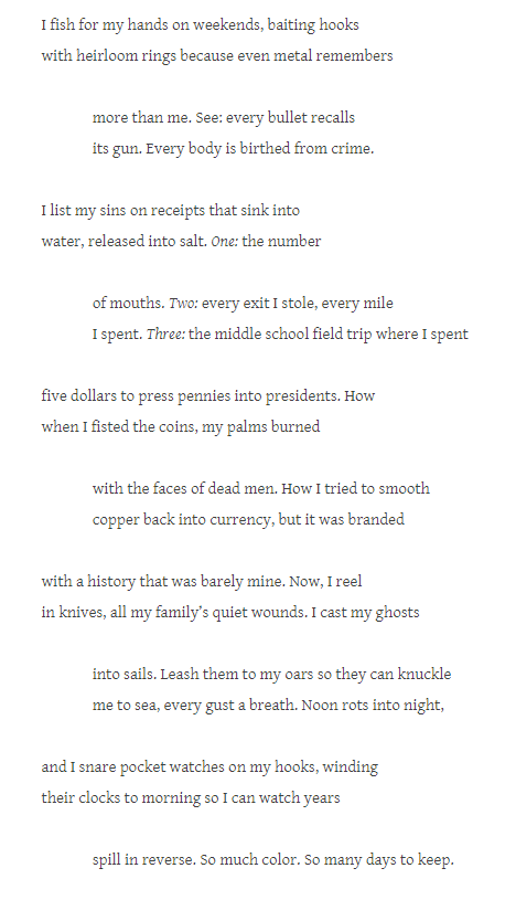 nova 🪲 tweet media