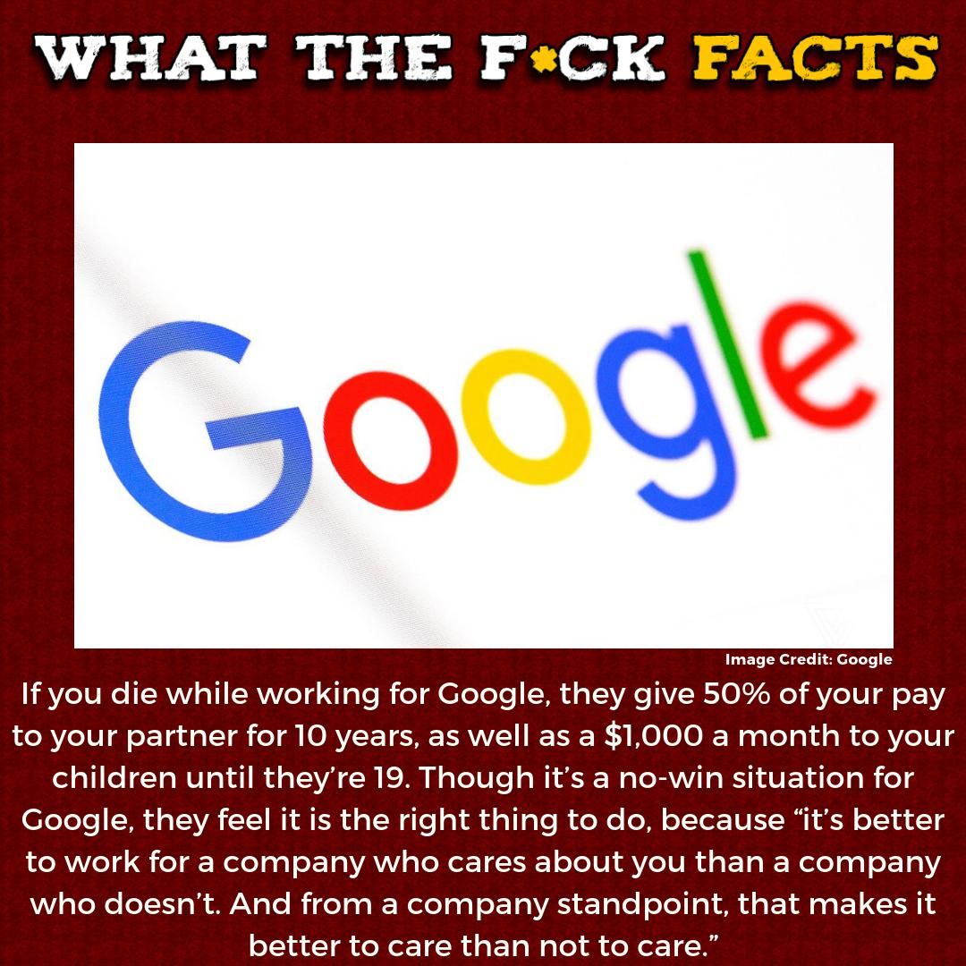 What The F*** Facts (@whattheffacts) on Twitter photo 