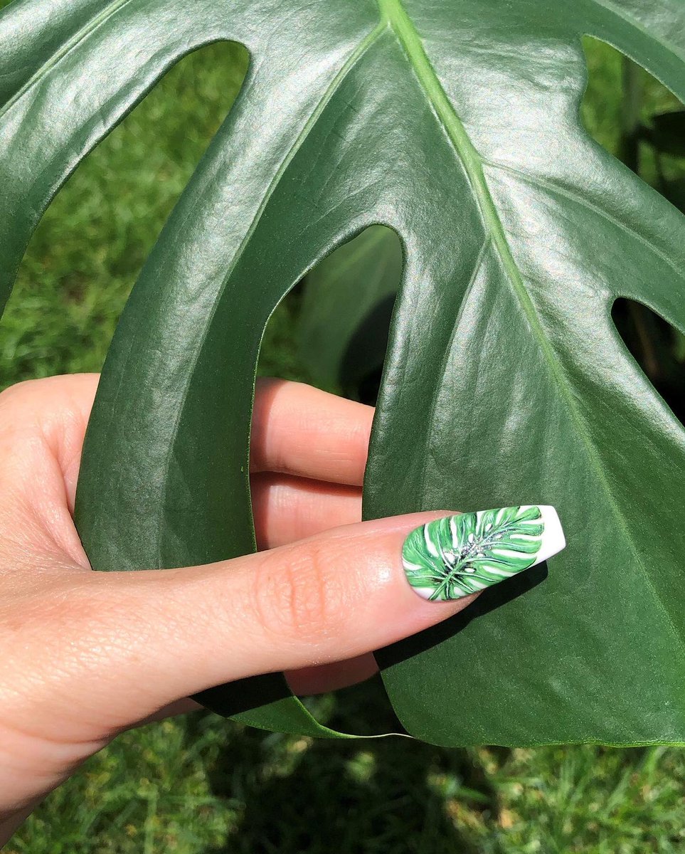 Tropical vibes 🌿🌺🌱 I had so much fun painting these, and I just couldn’t resist taking my monstera houseplant outside for the photo opp 😋 #nailedbyceline