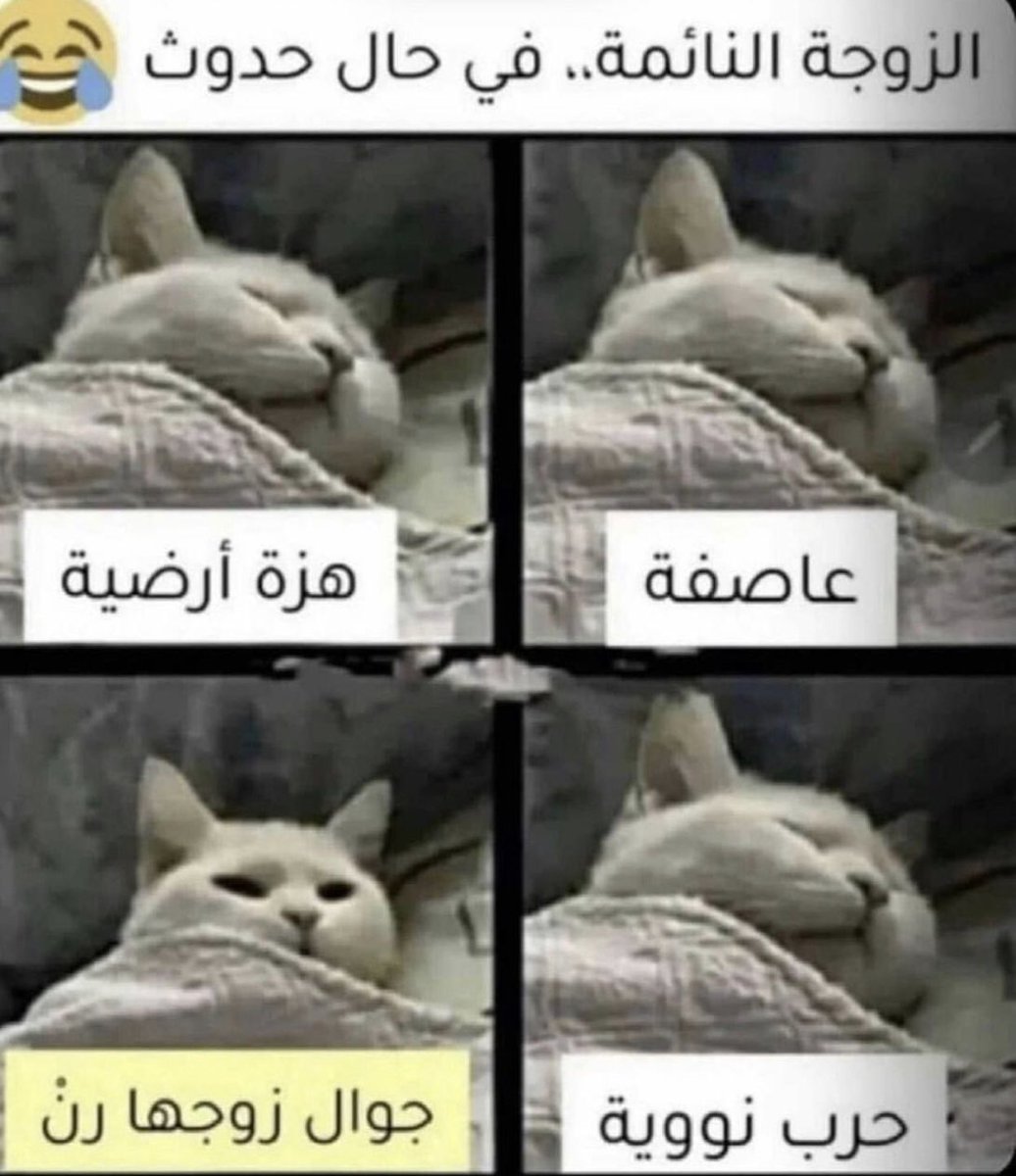 ليتگ ™ (@aa___kw) on Twitter photo وضع الزوجات وضع الزوجات