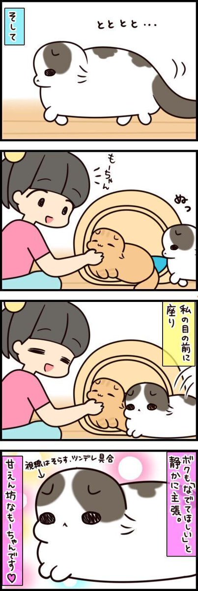 熟睡からの突然覚醒した猫!! そのわけは…【連載】もふもふスコたん#180|ねこのきもちWEB MAGAZINE https://t.co/JF5pJVp89o 