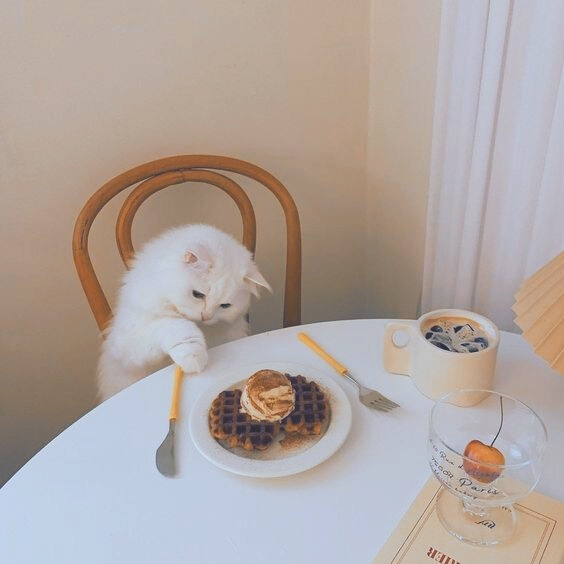 Foxl_Nyinnie's tweet photo. 𝘖 𝘨𝘢𝘳𝘰𝘵𝘰 𝘯𝘢 𝘫𝘢𝘯𝘦𝘭𝘢 - 𝘏𝘺𝘶𝘯𝘭𝘪𝘹 𝘢𝘶!

Onde Felix relaxa passando um tempo da sua tarde comendo chocolate e mandando beijos pra sua gata no telhado

ou

Onde Hyunjin todos os dias vai a mesma rua com seu skate para receber os beijos voadores do garoto na janela https://t.co/591oeCdyRB