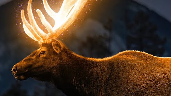 graphicdesignju's tweet image. Learn New Exciting Photo Manipulation Tricks
Visit: bit.ly/2VmG5St
#photoshoptutorials
#photoediting
#photoretouching
#photomanipulation
#photoeffects
#tutorials
#freetuts
#photoshopactions
#phototricks
#photoshoptips