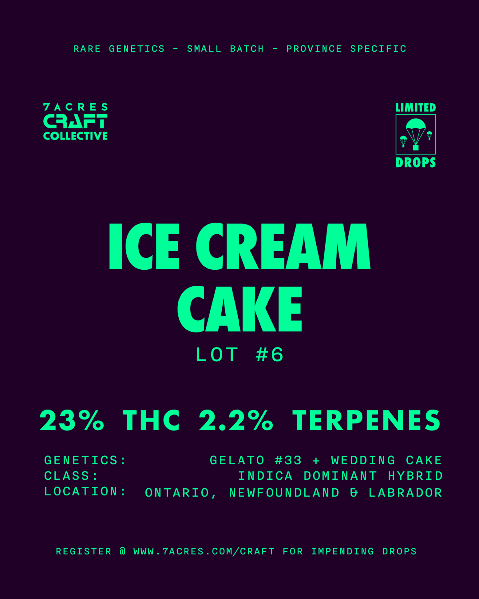 7ACRESmj's tweet photo. Ice Cream Cake is back. Selected for its indulgent aromatic profile, high THC and large, dense buds. The sixth lot of this incredible craft cultivar is available in Ontario and Newfoundland & Labrador.
Learn more: https://t.co/sMx0kFjHxu
#7ACCC #IceCreamCake #CraftCollective https://t.co/LxArthtasH