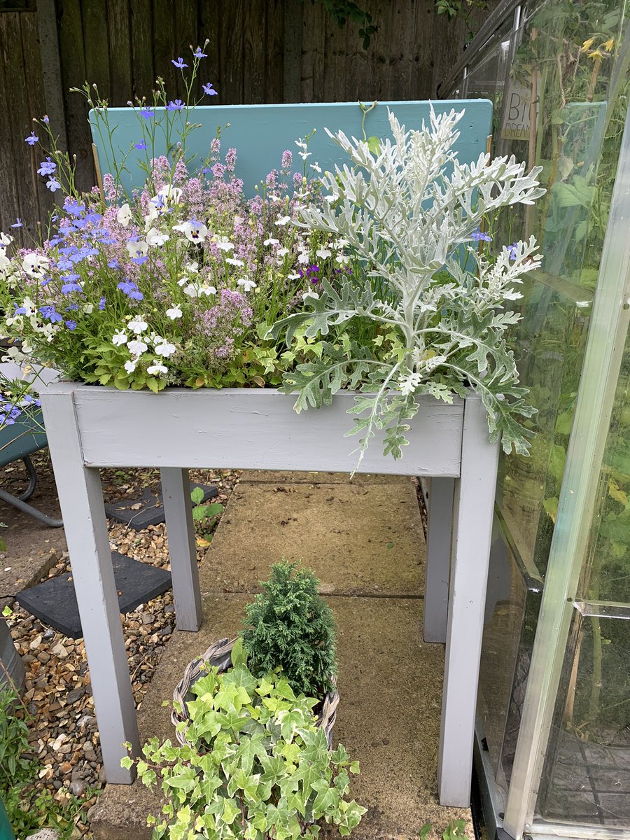 CarlaLTonks's tweet photo. #upcycling These old desks used to reside in our Prep classrooms, now not needed a splash of paint and some flowers they are looking good. Thanks @ShrewsburyHigh @gdst #whereteacherslearnwithoutlimits https://t.co/YrpXTHxvLL