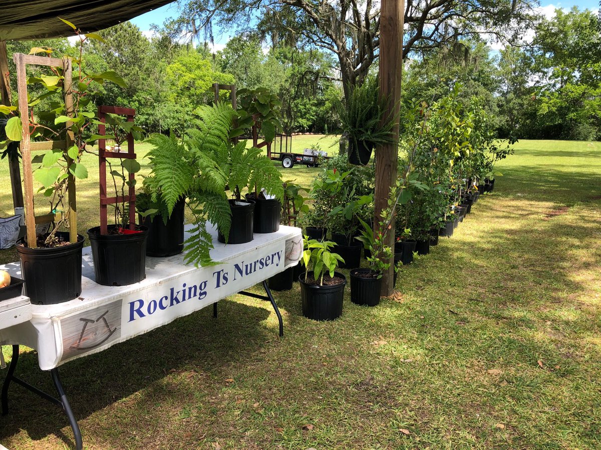 RockingTs's tweet photo. Rocking Ts Nursery &amp; Market    Moss Point MS https://t.co/Z8lEC4ZVre