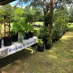 Photo by Rocking Ts Nursery (@RockingTs)