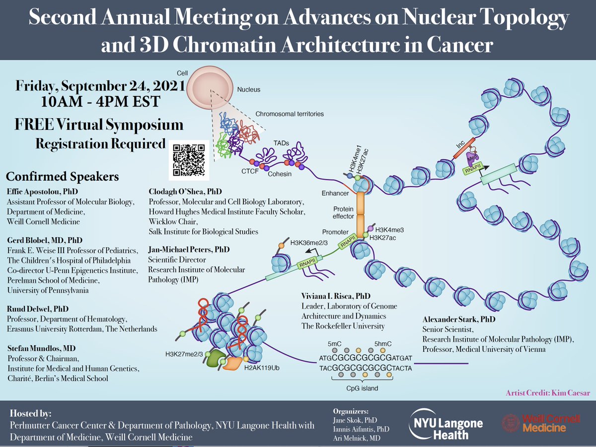 Jane Skok (@jane_skok) on Twitter photo Second Annual Meeting on Advances on Nuclear Topology and 3D Chromatin Architecture in Cancer
Registration:
nyulangone.zoom.us/webinar/regist… Second Annual Meeting on Advances on Nuclear Topology and 3D Chromatin Architecture in Cancer
Registration:
nyulangone.zoom.us/webinar/regist…