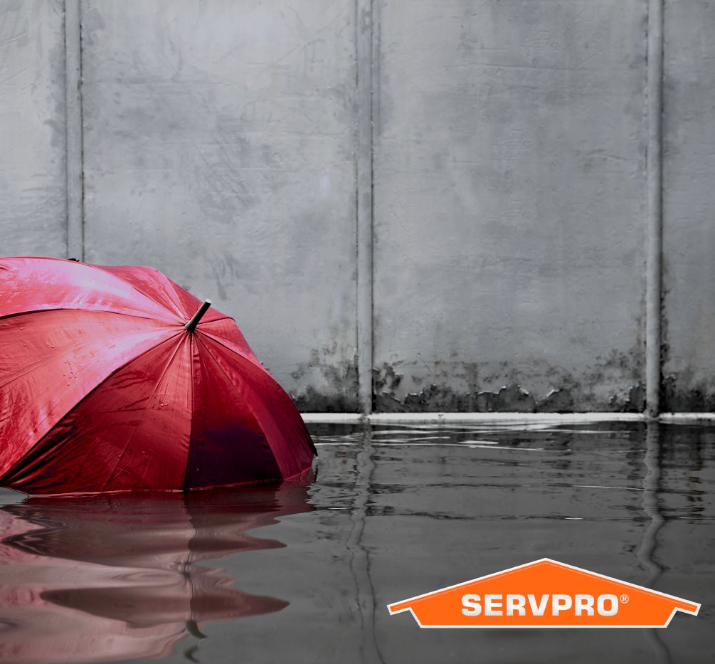 What would you do if your business flooded tomorrow? Call SERVPRO if you don't have a plan in place to limit business interruption. #heretohelp