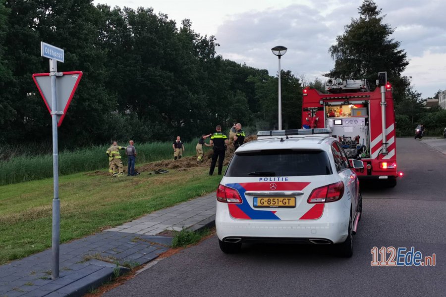 Broei in berg gemaaid gras aan de Olthorst in #Ede. 112Ede.