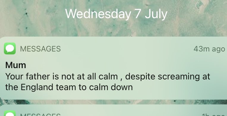 hannahrosewoods's tweet photo. A text for the ages https://t.co/SR8X6cKSYy
