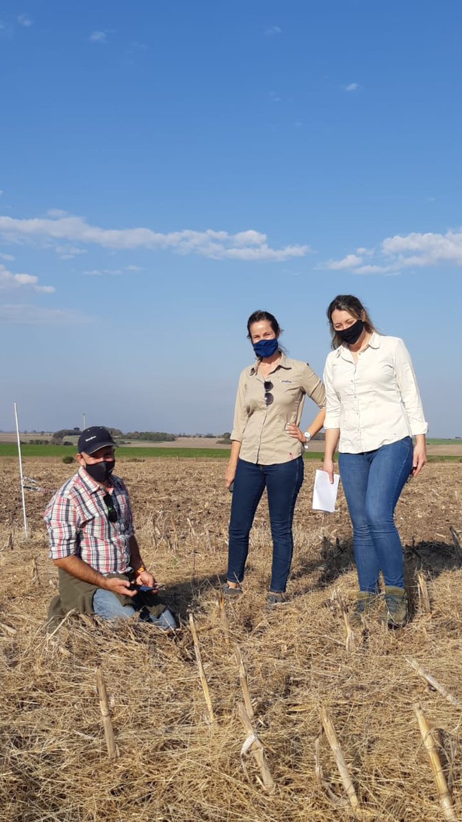 Syngenta Argentina (@syngenta_ar) on Twitter photo <a href="/INSER_SA/">Insumos Entre Ríos</a> <a href="/JulianScatena/">Julián Scatena</a> <a href="/Chaveta4/">Nicolas Spinelli</a> 👥Participó el equipo de <a href="/INSER_SA/">Insumos Entre Ríos</a> y desde Syngenta nos acompañaron <a href="/Chaveta4/">Nicolas Spinelli</a>, <a href="/MagaliSuppo/">Magalí Suppo</a> y <a href="/AchucanepaAzul/">Azul Canepa</a> de ST, y <a href="/oterolita/">Pauli Otero</a>, RTC de Ventas. <a href="/INSER_SA/">Insumos Entre Ríos</a> <a href="/JulianScatena/">Julián Scatena</a> <a href="/Chaveta4/">Nicolas Spinelli</a> 👥Participó el equipo de <a href="/INSER_SA/">Insumos Entre Ríos</a> y desde Syngenta nos acompañaron <a href="/Chaveta4/">Nicolas Spinelli</a>, <a href="/MagaliSuppo/">Magalí Suppo</a> y <a href="/AchucanepaAzul/">Azul Canepa</a> de ST, y <a href="/oterolita/">Pauli Otero</a>, RTC de Ventas.