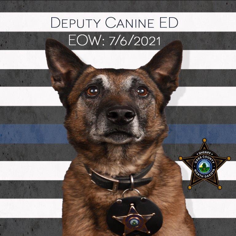 CassNDSheriff's tweet image. The Cass County Sheriff’s Office is grieving the loss of Deputy K-9 Ed. The four-legged crime fighter was an active member of the Cass County Sheriff’s Office for 13 years, starting his career in April of 2008.