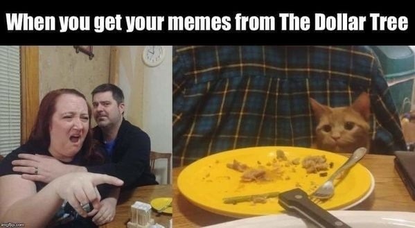 E5uJ-_CXwAUO1f7?format=jpg&name=small