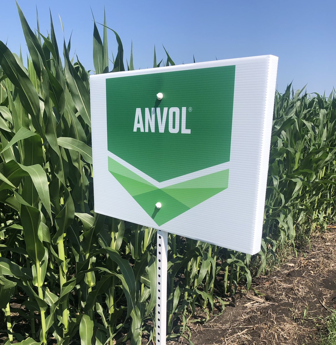 BuckentinChris's tweet image. #CENTURO #ANVOL Making sure nitrogen is available for this #corn  crop  @KochAgServices