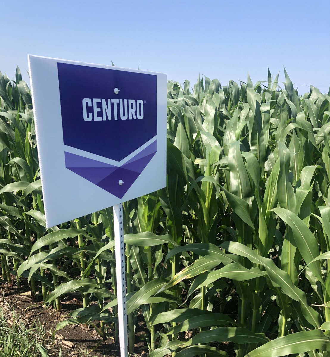 BuckentinChris's tweet image. #CENTURO #ANVOL Making sure nitrogen is available for this #corn  crop  @KochAgServices