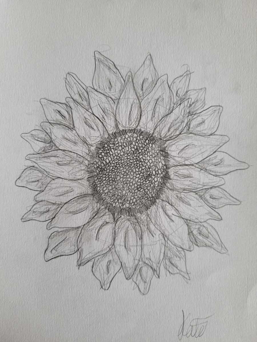 #herecomesthesun What exceptional detail from one of our Y6 pupils KS! #beingthebestyoucanbe