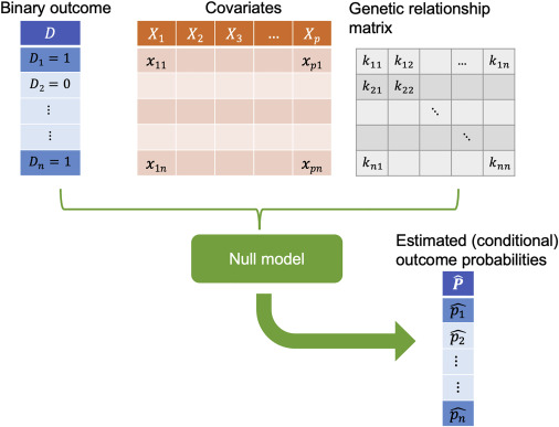CellPressNews's tweet photo. High-impact article from @HGGAdvances: BinomiRare: A robust test for association of a rare genetic variant with a binary outcome for mixed models and any case-control proportion @GeneticsSociety @harvardmed @tamar_sofer https://t.co/ZVU8TByMm3 https://t.co/y8Nc3mZTFm