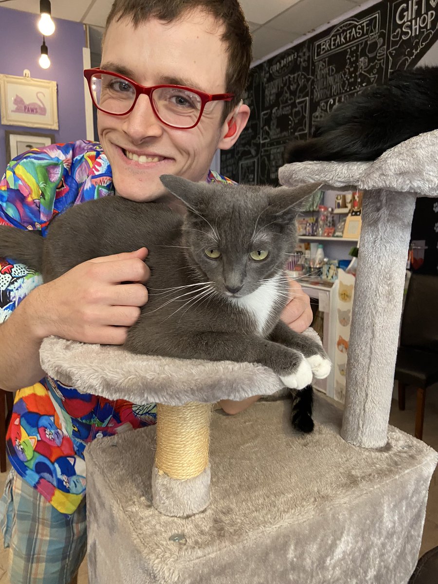 Wilfred Jenkins tweet media