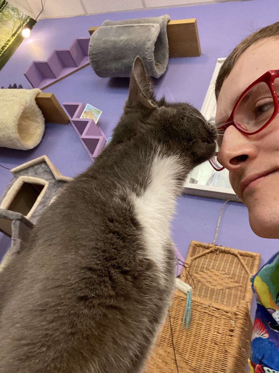 Wilfred Jenkins tweet media