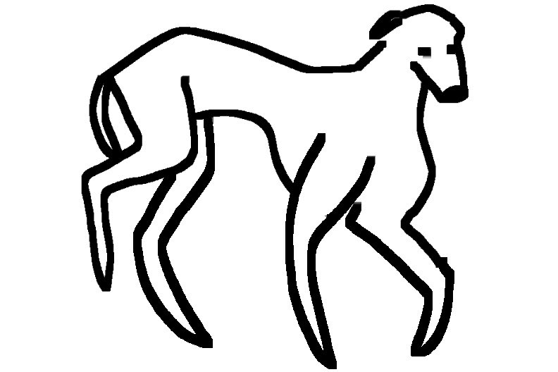 quacktherine's tweet photo. Some doodles of some doggies. 
#Procreate #doodle #art #illustraition https://t.co/2EJfcadnvw