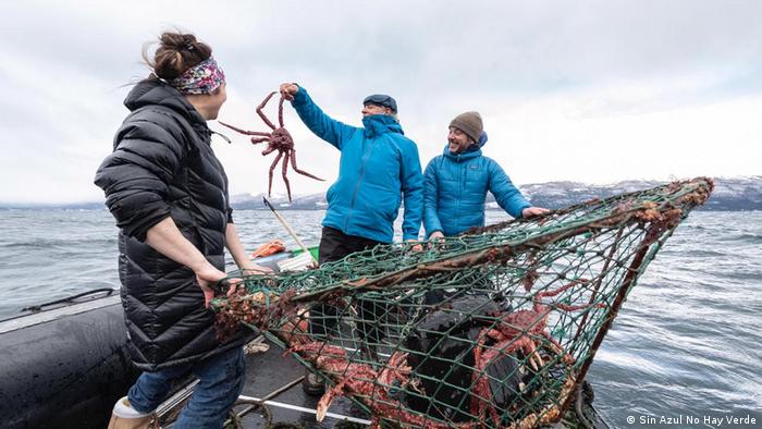 dw_espanol's tweet photo. La provincia #argentina de Tierra del Fuego convirtió al país en el primero en el mundo en prohibir la industria salmonera. La medida también se celebró en #Chile, que convive con efectos ambientales de esa actividad. https://t.co/fhCMlkqU0K @greenpeace @OceanaChile @JuditAlonsoG https://t.co/cE4Dc6Oyjz