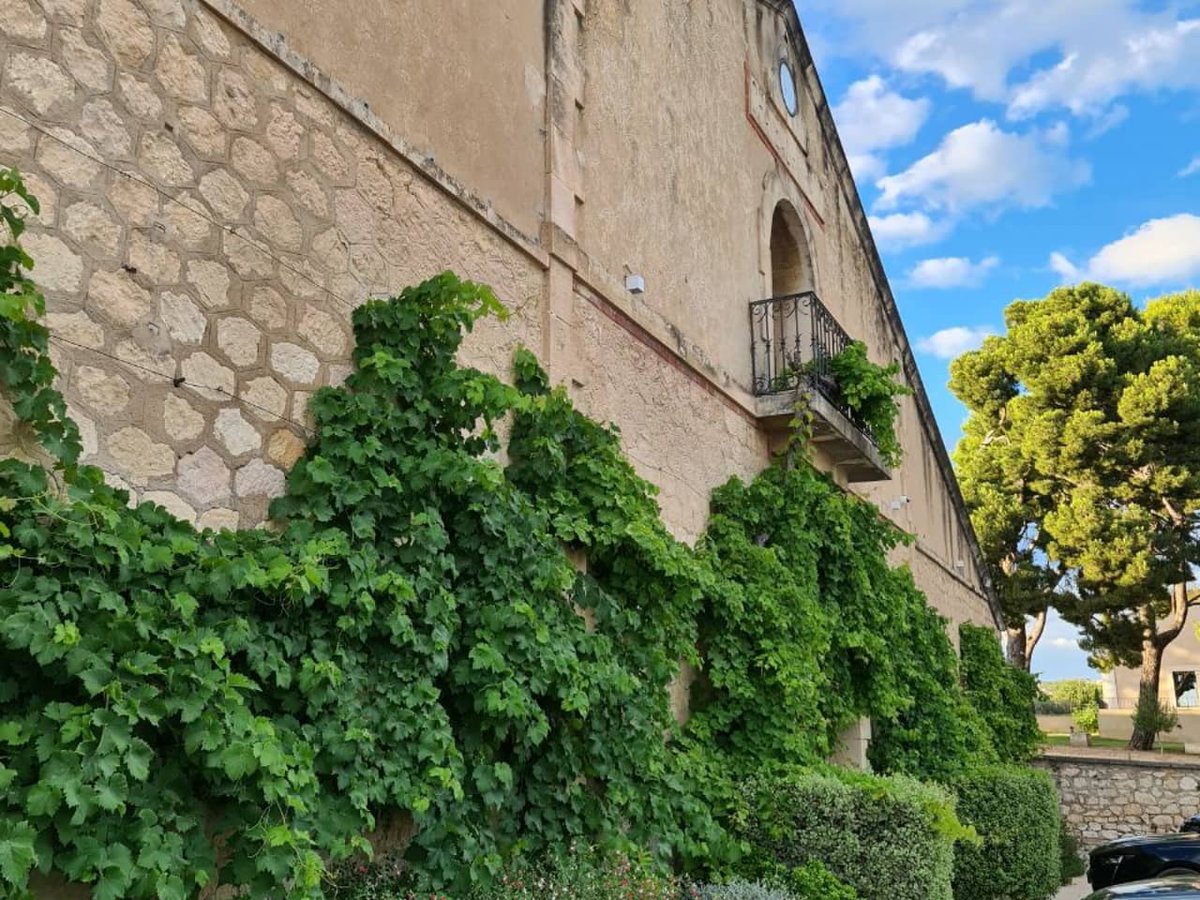 📸 Ce soir, c'était l'apéro d'été de l'Upe 13 Étang de Berre | Une très belle soirée estivale au domaine de <a href="/ChateauVirant/">Château Virant</a>, où une 100aine d'entrepreneurs locaux ont pu se retrouver, en présence de <a href="/thzarka/">Thierry Zarka</a>, psdt de l'Upe 13 sur le territoire, et <a href="/PKorcia/">Philippe Korcia</a>. Retour en images. 👇