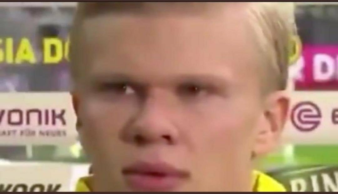 nY²³Yc tweet media