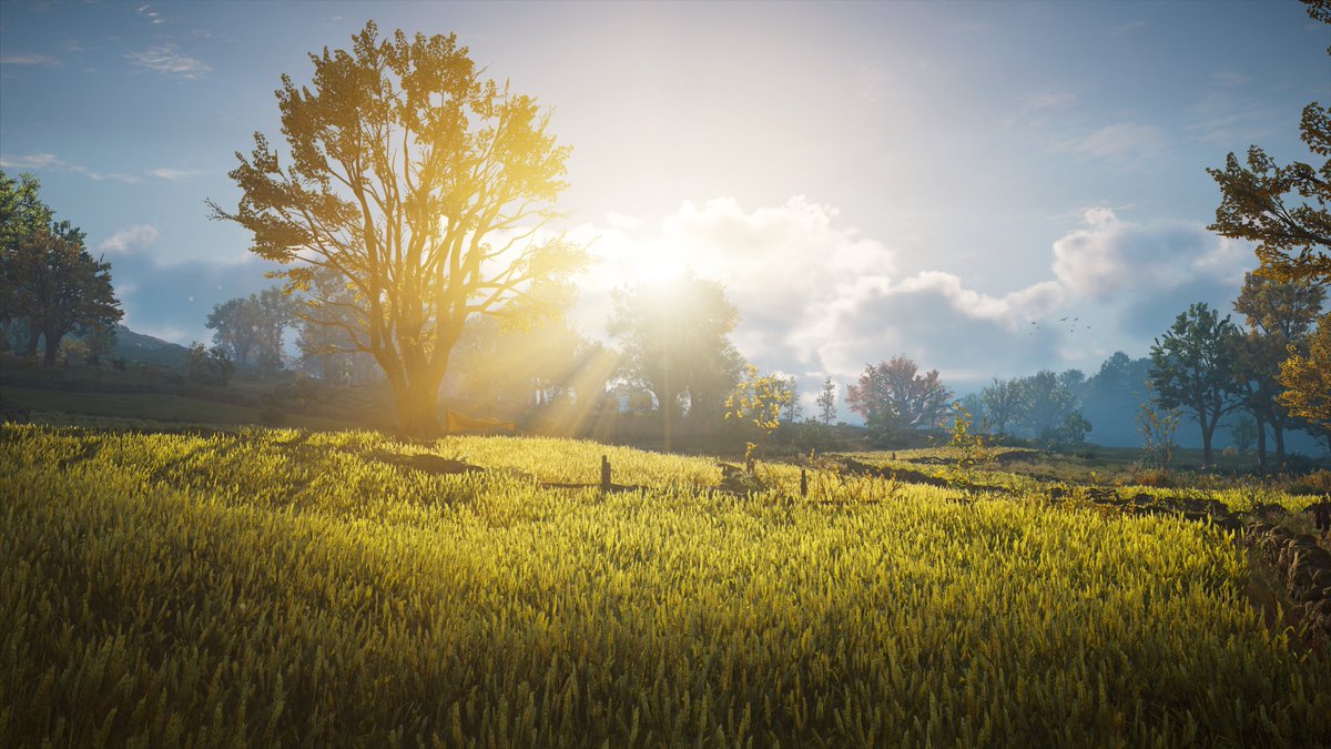darkgamer87's tweet photo. #PS5Share, #AssassinsCreedValhalla https://t.co/KEX2Mu7Onm