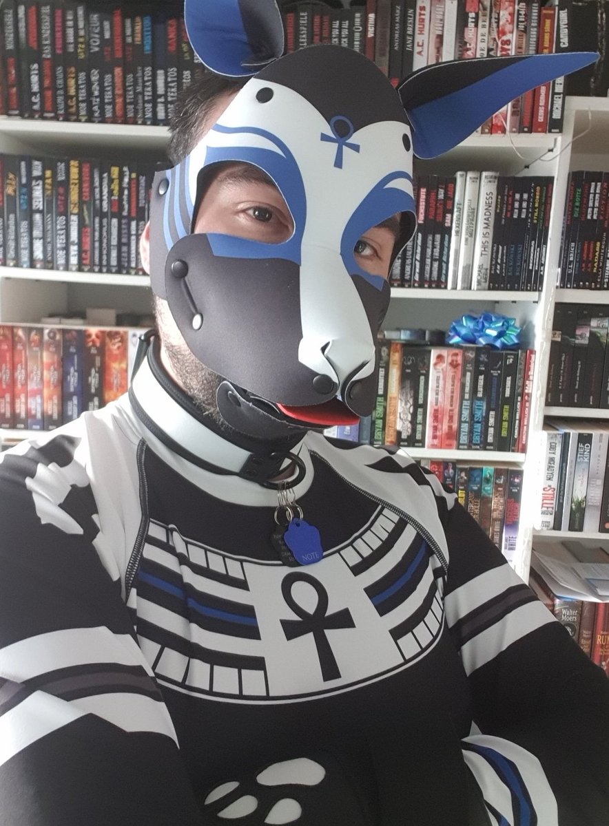 Dennisk95Ka's tweet photo. My @wruffstuff Hood and Suit. Wruff Stuff is amazing and i Love it!
#Petplay #Humanpup #Puppyplay #germangaypup #LGBTQIA #Pupnote #Gay #Fetish #GoodBoy #wruffstuff https://t.co/wkUYmxCeNX