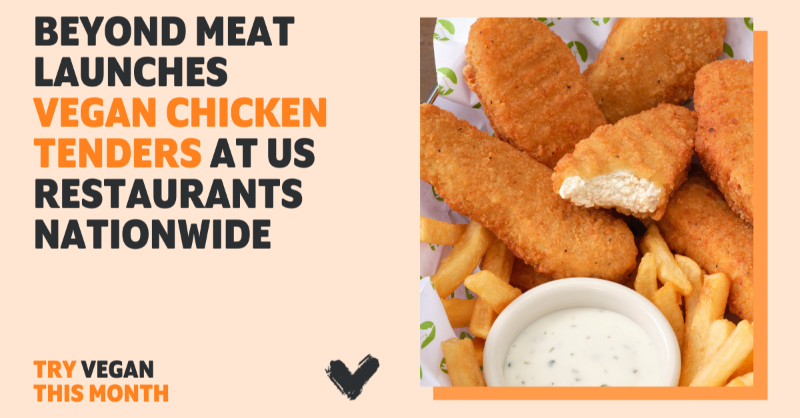 Exciting news! 🤩 <a href="/BeyondMeat/">Beyond Meat</a> has launched its Beyond Chicken Tenders at select restaurants across the US today! The #vegan Tenders contain 14g of protein and 40% less saturated fat than the leading animal-based chicken tender. TAG a friend you'll be trying them with! 👇