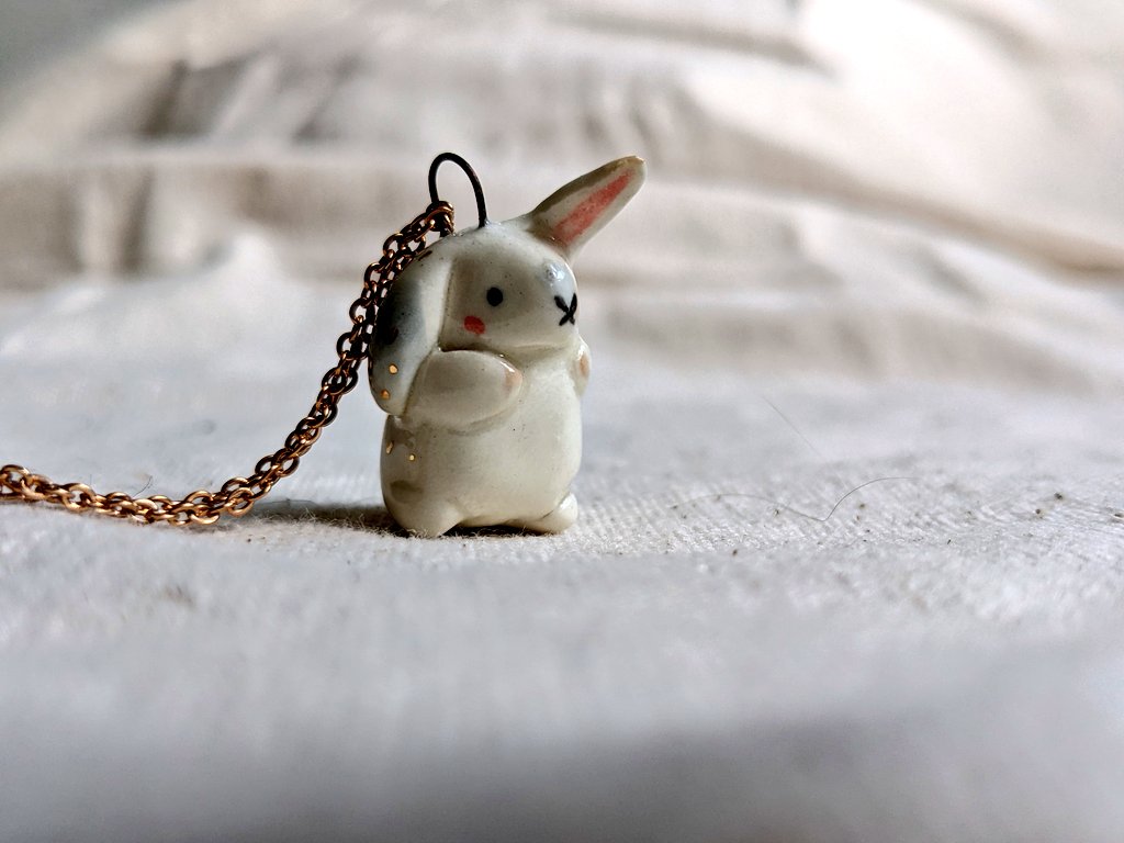 _kness's tweet photo. One round bunny 🐇🐰 https://t.co/nQrJW7ZyTY