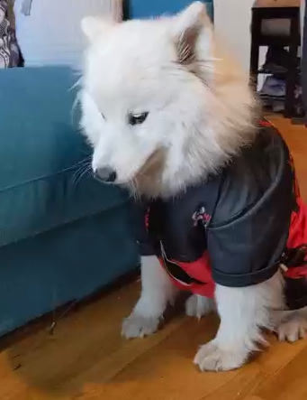 Misfits Esports tweet media