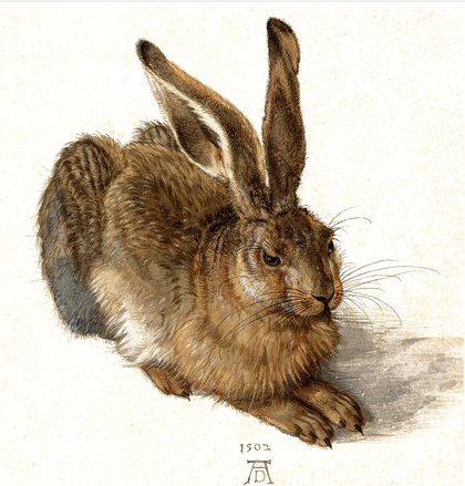 ActionHare's tweet photo. Can you help us? Action Against Hare Hunting is looking for hare art work, whether drawn, painted or photographed that we can use on greeting cards and other items that will help us get the message out and also raise some funds π
https://t.co/CWl4mFvzY4 https://t.co/7WuHmGURLv
