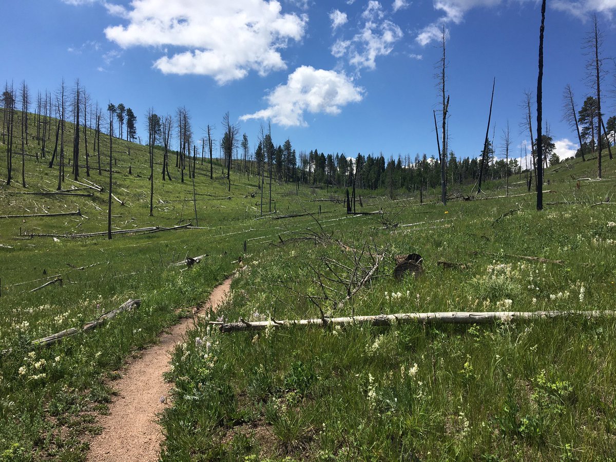 gardner_pj's tweet photo. Great day for biking Rampart Range! 17 miles in 2:40 min. Nice areas to take a break. Very few people on the trail today. Hot after 2pm. https://t.co/mDaMGXTOIF
