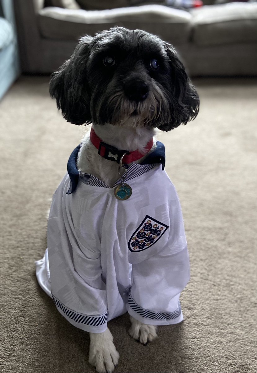 Nik Stather tweet media