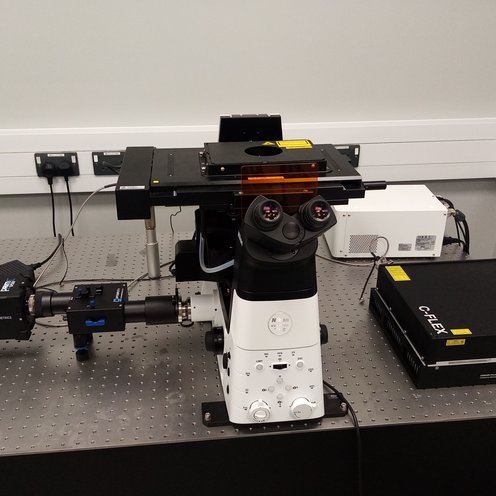 If you look carefully, you can just about see it coming home 😉 <a href="/lab_ye/">The Ye Lab</a>