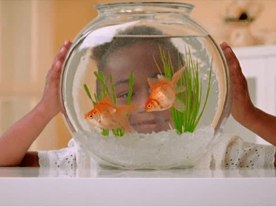 The View of Education from a Student with Dyslexia Turned Educator 7/21 #edWebinar <a href="/dr_keyon/">Keyon Anderson</a> <a href="/alwaysprogress6/">alwaysprogressinginc</a> <a href="/terrienoland/">Terrie Noland, Ph.D., CALP</a> <a href="/Learning_Ally/">Learning Ally</a> home.edweb.net/webinar/reader…