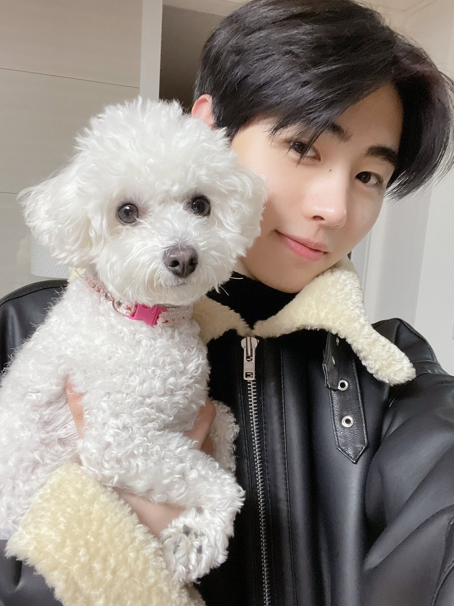heekiarchvs's tweet photo. Happy birthday to Sunghoon's dog GAEUL!π₯³
stay sweet and cute Gaeul,we love you smβ€οΈ
@ENHYPEN_members #ENHYPEN
#GAEUL #GAEULDAY #HappyGaeulDay https://t.co/2ol67V9qqj